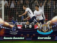 Tottenham Hotspur 1-0 Newcastle United