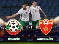 Bulgaria 1-1 Montenegro